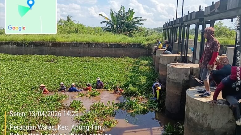 Perkuat Ketahanan Pangan, BBWS Mesuji Sekampung Bersihkan Saluran Irigasi di Dua Wilayah Strategis